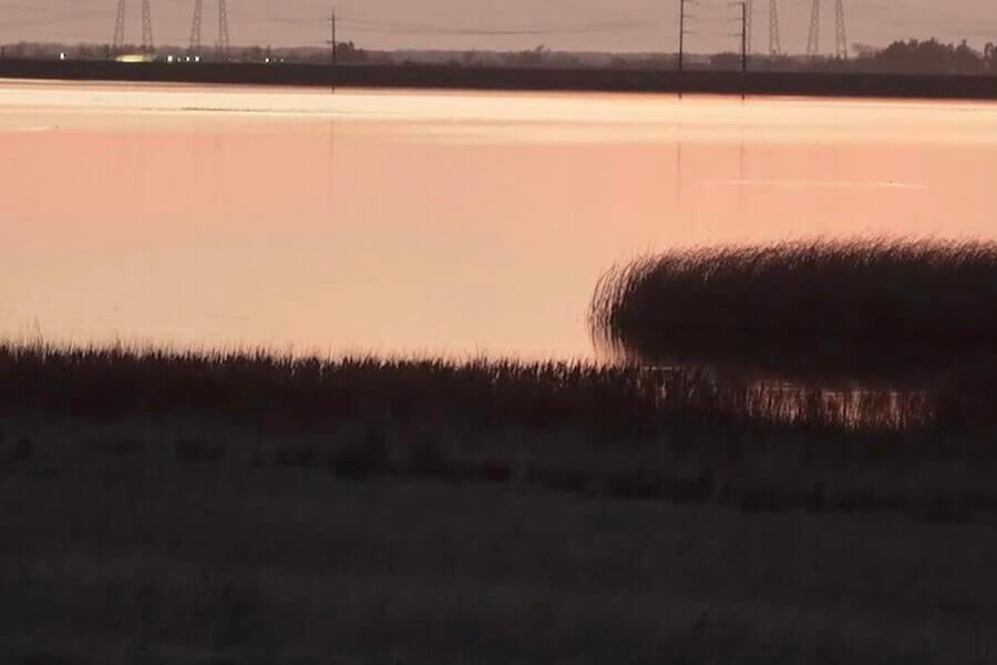 experience_image_9